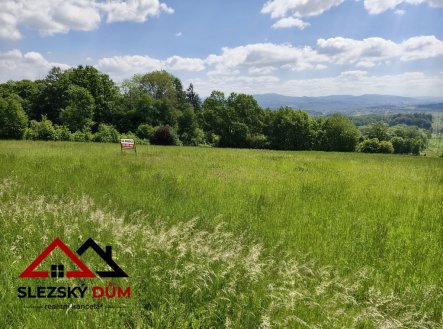 Prodej pozemku pro bydlení, 2 369 m²