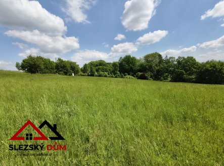 Prodej pozemku pro bydlení, 2 369 m²