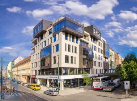 Pronájem kanceláře, 485 m²