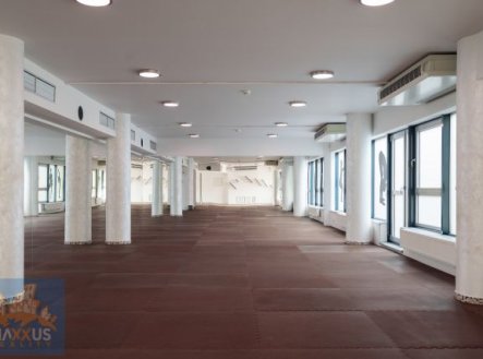 Pronájem obchodní prostory, 360 m²