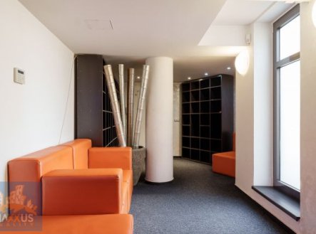 Pronájem obchodní prostory, 360 m²