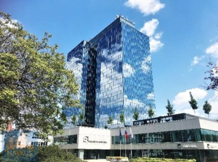 Pronájem kanceláře, 221 m²