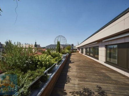 Pronájem kanceláře, 229 m²