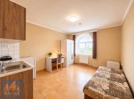 Pronájem bytu, 1+kk, 23 m²
