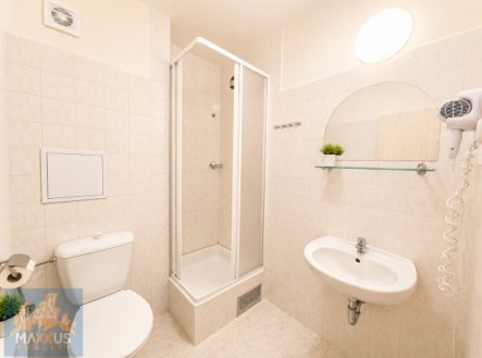 Pronájem bytu, 1+kk, 23 m²