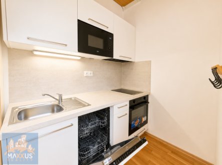 Pronájem bytu, 1+kk, 48 m²