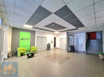 Pronájem kanceláře, 18 m²