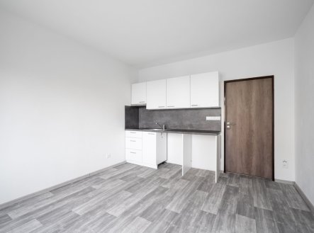 Pronájem bytu, 1+kk, 21 m²