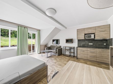 Prodej bytu, 1+kk, 46 m²