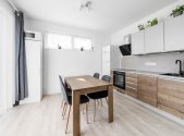 Pronájem bytu, 1+kk, 114 m²
