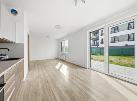 1-1.jpg | Pronájem bytu, 1+kk, 114 m²