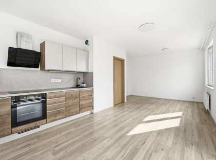 Pronájem bytu, 1+kk, 114 m²