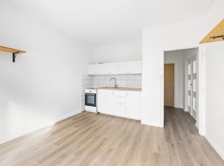 Pronájem bytu, 1+1, 39 m²