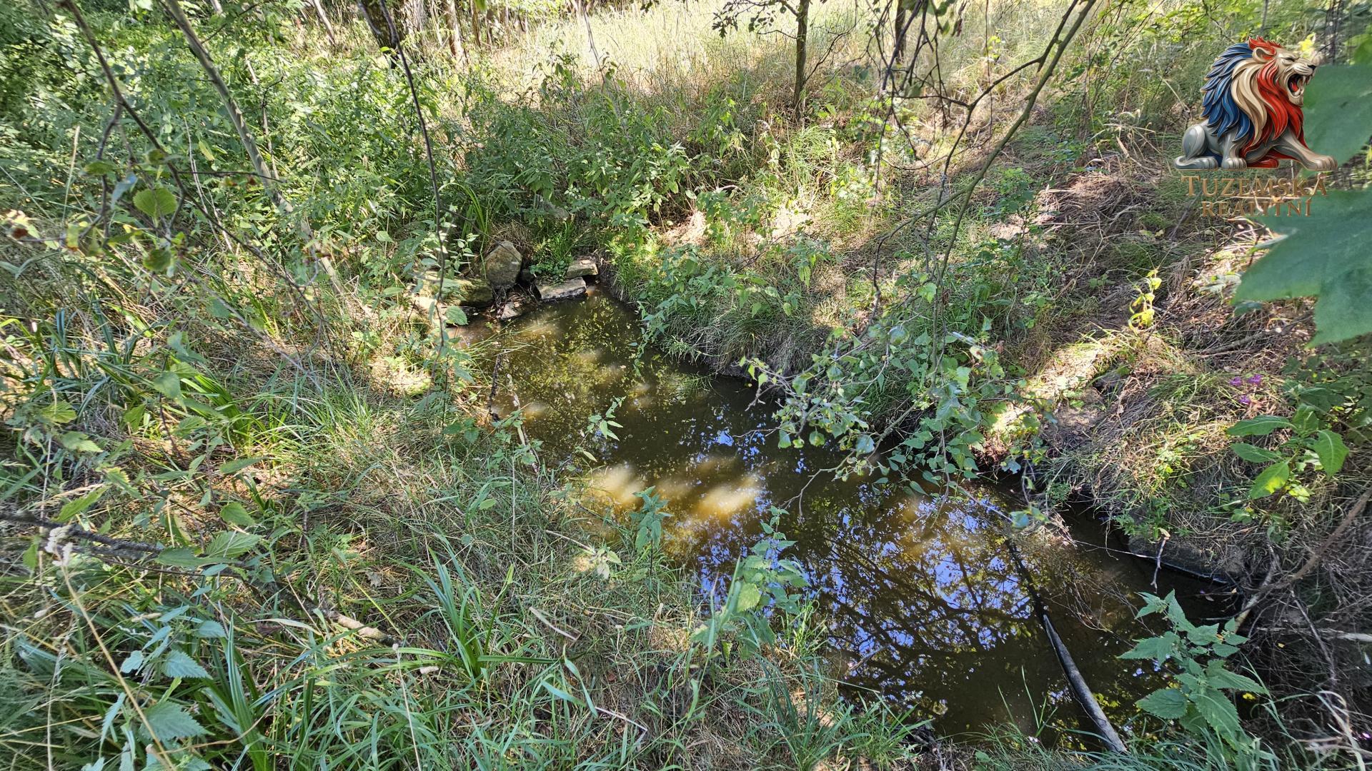 20260813_125456