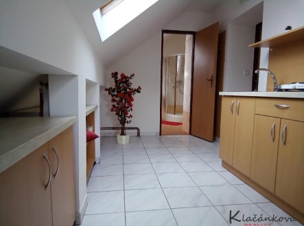 Prodej bytu, 1+kk, 29 m²