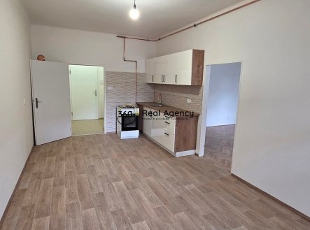 Pronájem bytu, 1+1, 49 m²