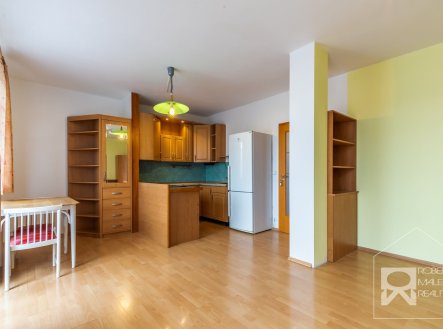 Pronájem bytu, 1+kk, 39 m²