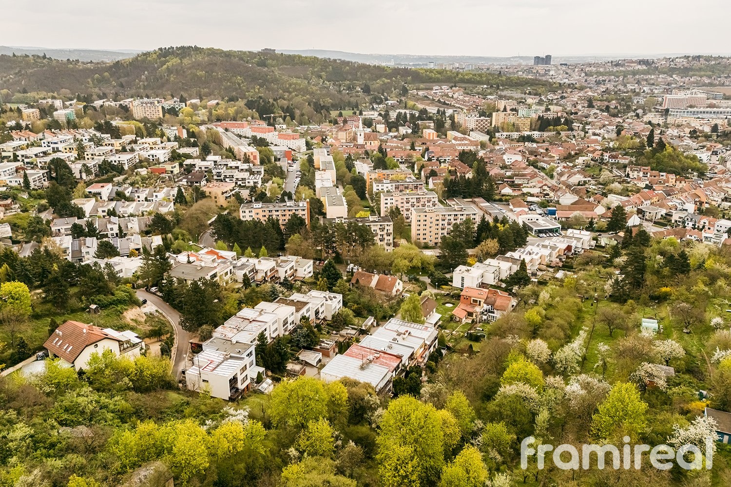 fotordkomin (2)
