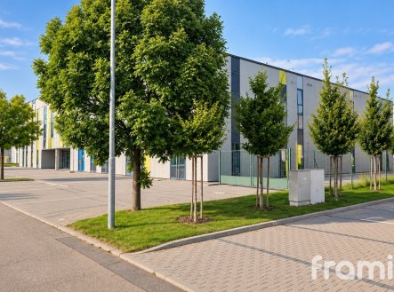 Pronájem kanceláře, 600 m²