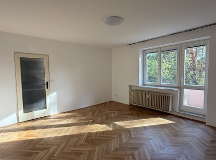 Pronájem bytu, 1+1, 46 m²