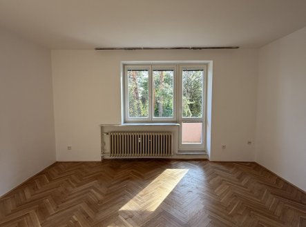 Pronájem bytu, 1+1, 46 m²