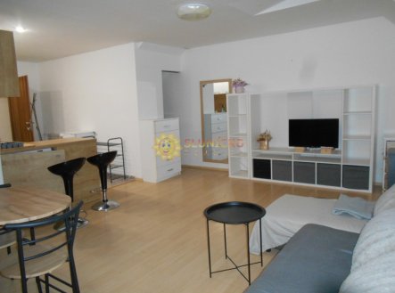 Pronájem bytu, 1+kk, 35 m² obrázek