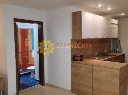 Pronájem bytu, 1+kk, 35 m²