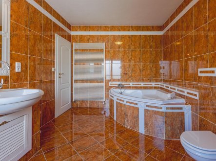 Prodej domu/vily, 330 m²