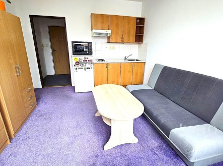 Pronájem bytu, 1+kk, 20 m²