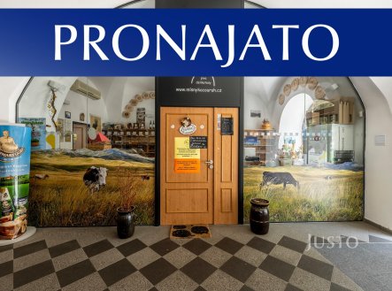Pronájem obchodní prostory, 41 m²