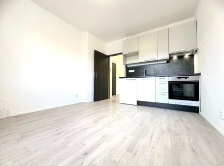 Pronájem bytu, 1+kk, 25 m²