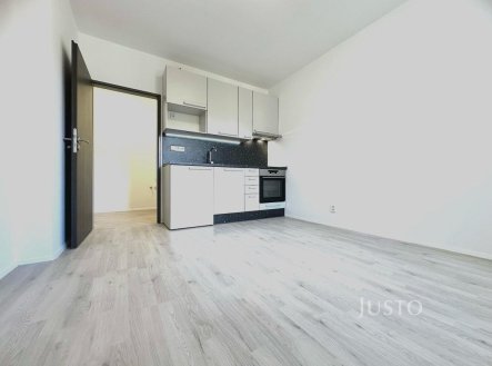 Pronájem bytu, 1+kk, 25 m²