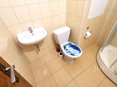 Pronájem bytu, 1+1, 42 m²