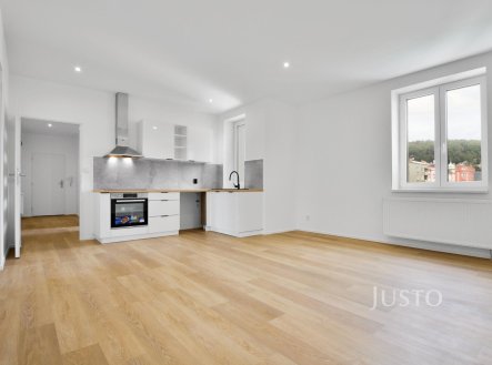 Pronájem bytu, 2+kk, 67 m²
