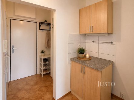 Pronájem bytu, 1+kk, 29 m²