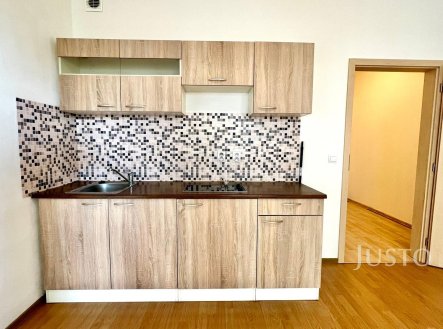Pronájem bytu, 1+kk, 29 m²