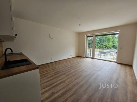 Pronájem bytu, 1+kk, 36 m²