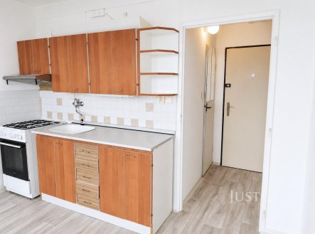 Pronájem bytu, 1+1, 35 m²
