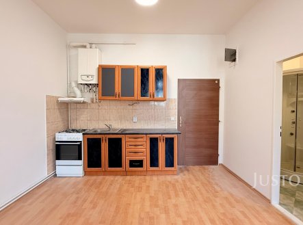 Prodej bytu, 1+kk, 31 m²