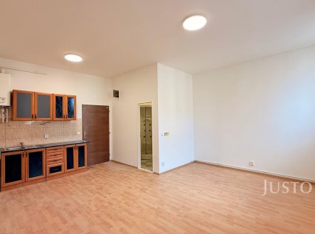 Prodej bytu, 1+kk, 31 m²