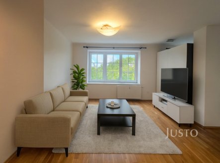Pronájem bytu, 1+1, 55 m²