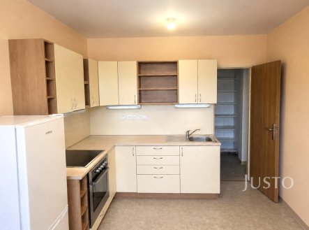 Pronájem bytu, 1+1, 50 m² obrázek