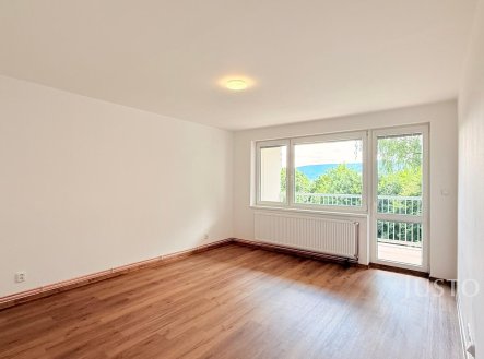 Pronájem bytu, 1+1, 65 m²