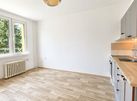 Pronájem bytu, 1+kk, 19 m²
