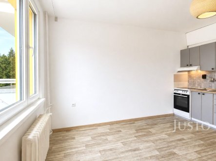 Pronájem bytu, 1+kk, 19 m²