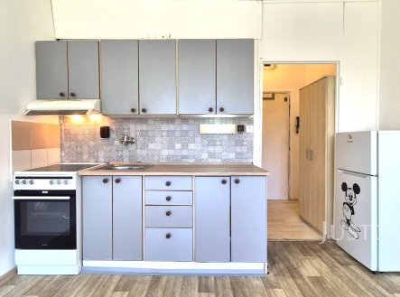 Pronájem bytu, 1+kk, 19 m²