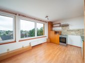 Prodej bytu, 1+kk, 42 m²
