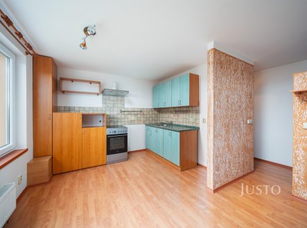 Prodej bytu, 1+kk, 42 m²