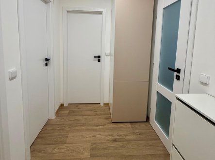 Pronájem bytu, pokoj, 23 m²