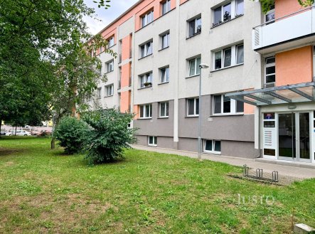 Pronájem bytu, pokoj, 18 m²